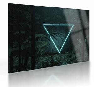 Obraz na szkle - Neonowy trójkąt w dżungli (70x50 cm)