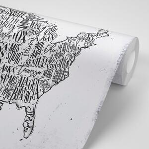 Samoprzylepna tapeta szara mapa USA ze stanami