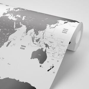 Samoprzylepna tapeta mapa świata z poszczególnymi państwami w kolorze szarym