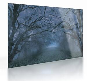 Obraz na szkle lasu we mgle (70x50 cm)