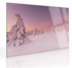 Obraz na szkle - Drzewa pod warstwą śniegu (70x50 cm)