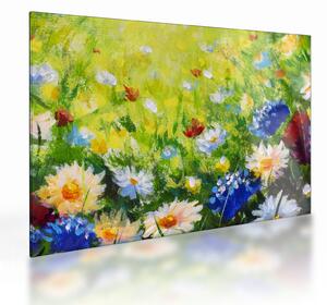 Obraz na szkle kwitnącej łąki, obraz olejny (70x50 cm)