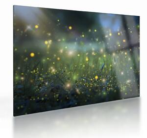 Obraz na szkle - Magiczna noc (70x50 cm)