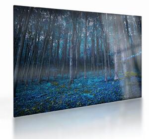 Obraz na szkle - Magiczny las (70x50 cm)