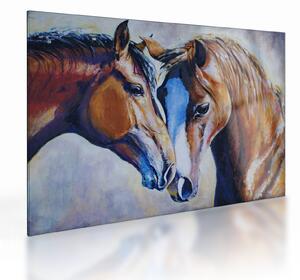 Obraz na szkle - Zakochane konie (70x50 cm)