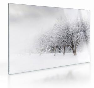 Obraz na szkle - Zimowa aleja (70x50 cm)
