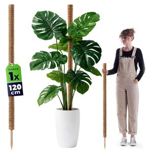 Tyczka do roślin kokosowa Cande 120 cm podpora doniczkowa 1 szt