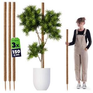 Tyczka do roślin kokosowa Cande 150 cm podpora doniczkowa 3 szt