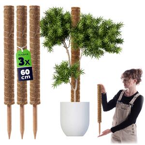Tyczka do roślin kokosowa Cande 60 cm podpora doniczkowa 3 szt