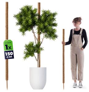 Tyczka do roślin kokosowa Cande 150 cm podpora doniczkowa 1 szt