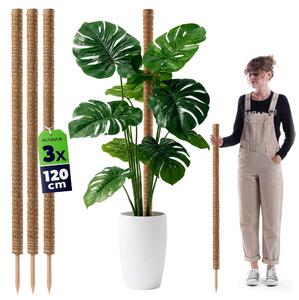 Tyczka do roślin kokosowa Cande 120 cm podpora doniczkowa 3 szt