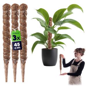 Tyczka do roślin kokosowa Cande 45 cm podpora doniczkowa 3 szt
