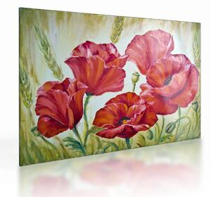 Obraz na szkle - Kwiaty maku (70x50 cm)
