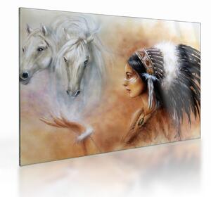 Obraz na szkle - Czary Indian (70x50 cm)