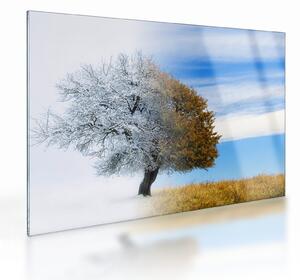 Obraz na szkle - Zmiana pór roku (70x50 cm)