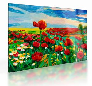 Obraz na szkle pola z makami (70x50 cm)