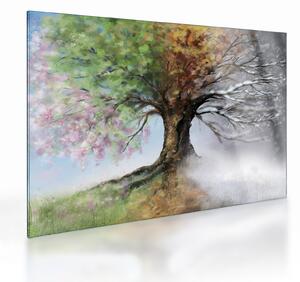 Obraz na szkle - Drzewo czterech pór roku (70x50 cm)