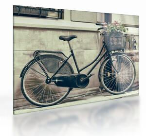 Obraz na szkle - Vintage rower z kwiatami (70x50 cm)