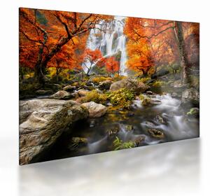 Obraz na szkle - Wodospady w pomarańczowym lesie (70x50 cm)