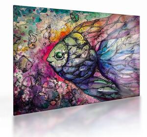 Obraz na szkle - Kolorowa rybka (70x50 cm)