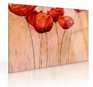Obraz na szkle - Czerwone tulipany (70x50 cm)