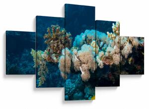 Obraz - W oceanie (125x70 cm)