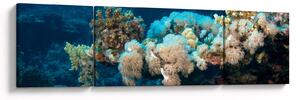 Obraz - W oceanie (170x50 cm)