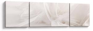 Obraz - Pióro (170x50 cm)