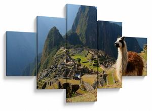 Obraz - Lama i Machu Picchu (125x70 cm)