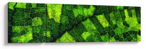 Obraz - Detal liścia (170x50 cm)