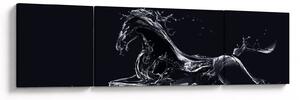 Obraz - Koń i woda (170x50 cm)