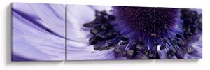Obraz - Fioletowy kwiat (170x50 cm)