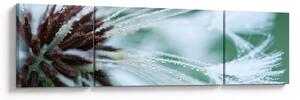 Obraz - Detal kwiatu (170x50 cm)