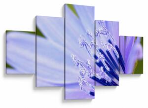 Obraz - Kwiat (125x70 cm)