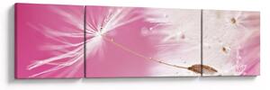 Obraz - Makro kwiat (170x50 cm)