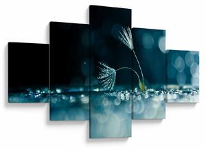 Obraz - Makro (125x70 cm)