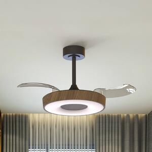 Mantra Iluminación Inteligentny wentylator sufitowy LED Coin, drewno/czerń, DC, cichy możliwość ściemniania, jasne drewno, salon / jadalnia, metal, nowoczesny