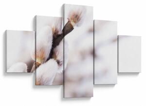 Obraz - Gałąź wierzby płaczącej (125x70 cm)
