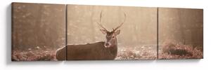 Obraz - Jeleń w lesie (170x50 cm)