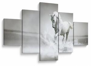 Obraz - Biały koń (125x70 cm)
