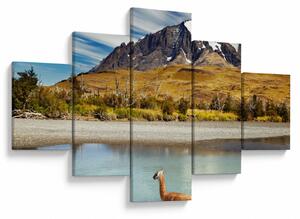 Obraz - Park Narodowy Torres del Paine (125x70 cm)