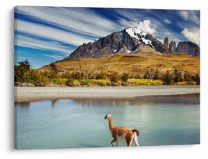 Obraz - Park Narodowy Torres del Paine (70x50 cm)