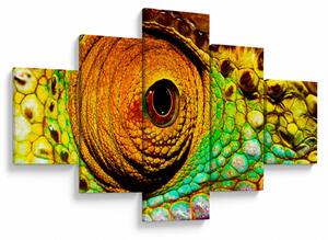 Obraz - Kameleon (125x70 cm)