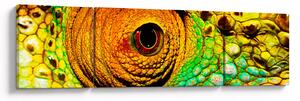 Obraz - Kameleon (170x50 cm)