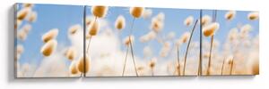 Obraz - Złote pole (170x50 cm)