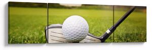 Obraz - Golf (170x50 cm)