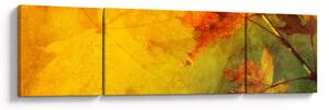 Obraz - Jesienne liście (170x50 cm)