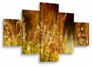 Obraz - Szczegół rosy (125x70 cm)