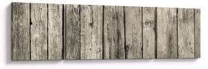 Obraz - Drzewo (170x50 cm)