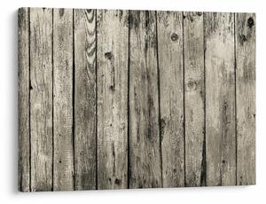 Obraz - Drzewo (70x50 cm)